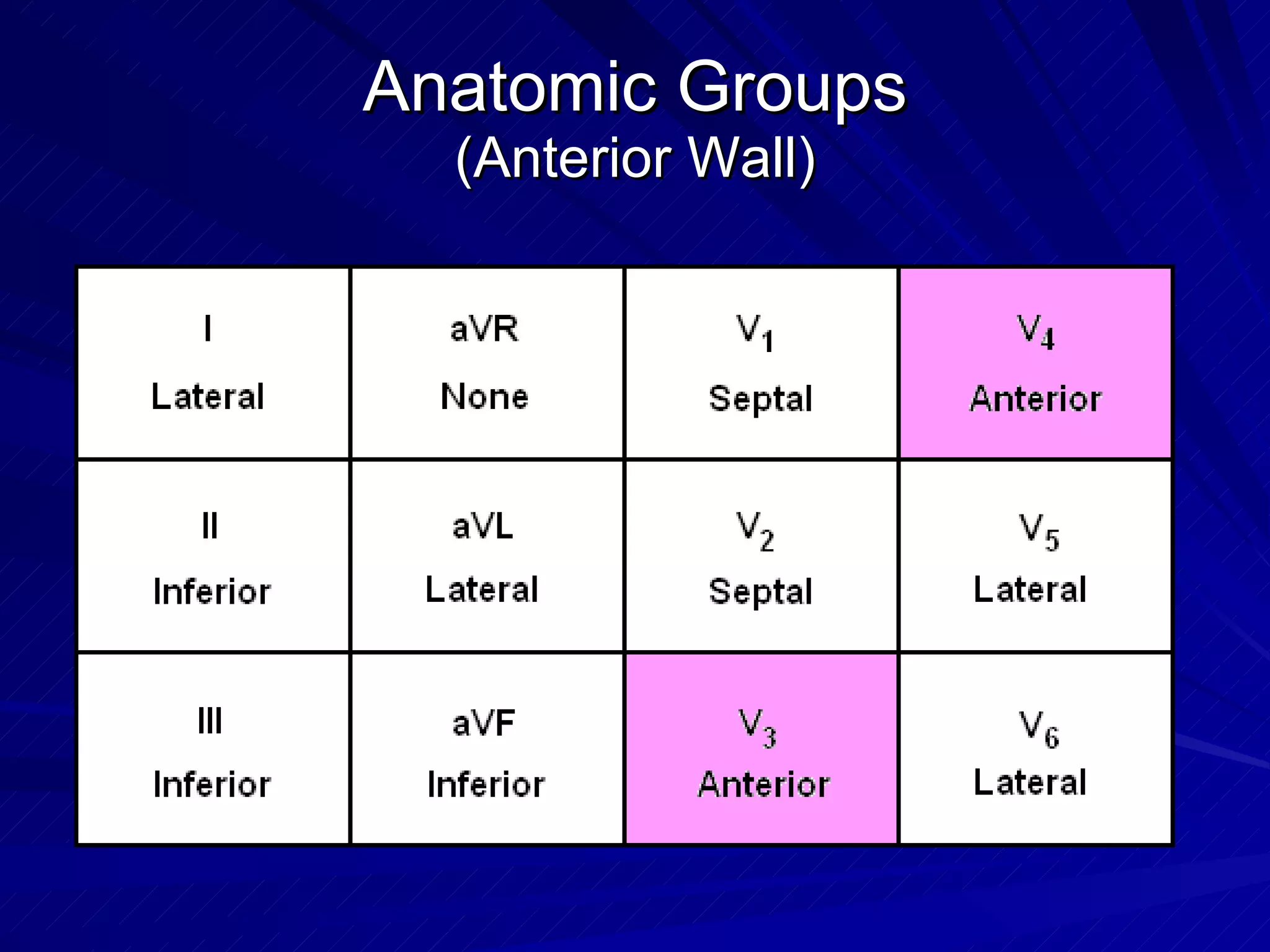 Anatomic Groups (Anterior Wall) 