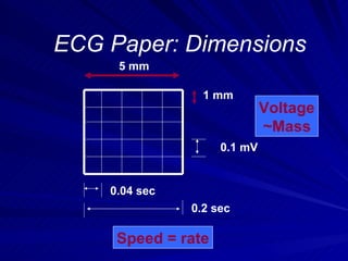 Basics Of Ecg Ppt Dr K Subramanyam