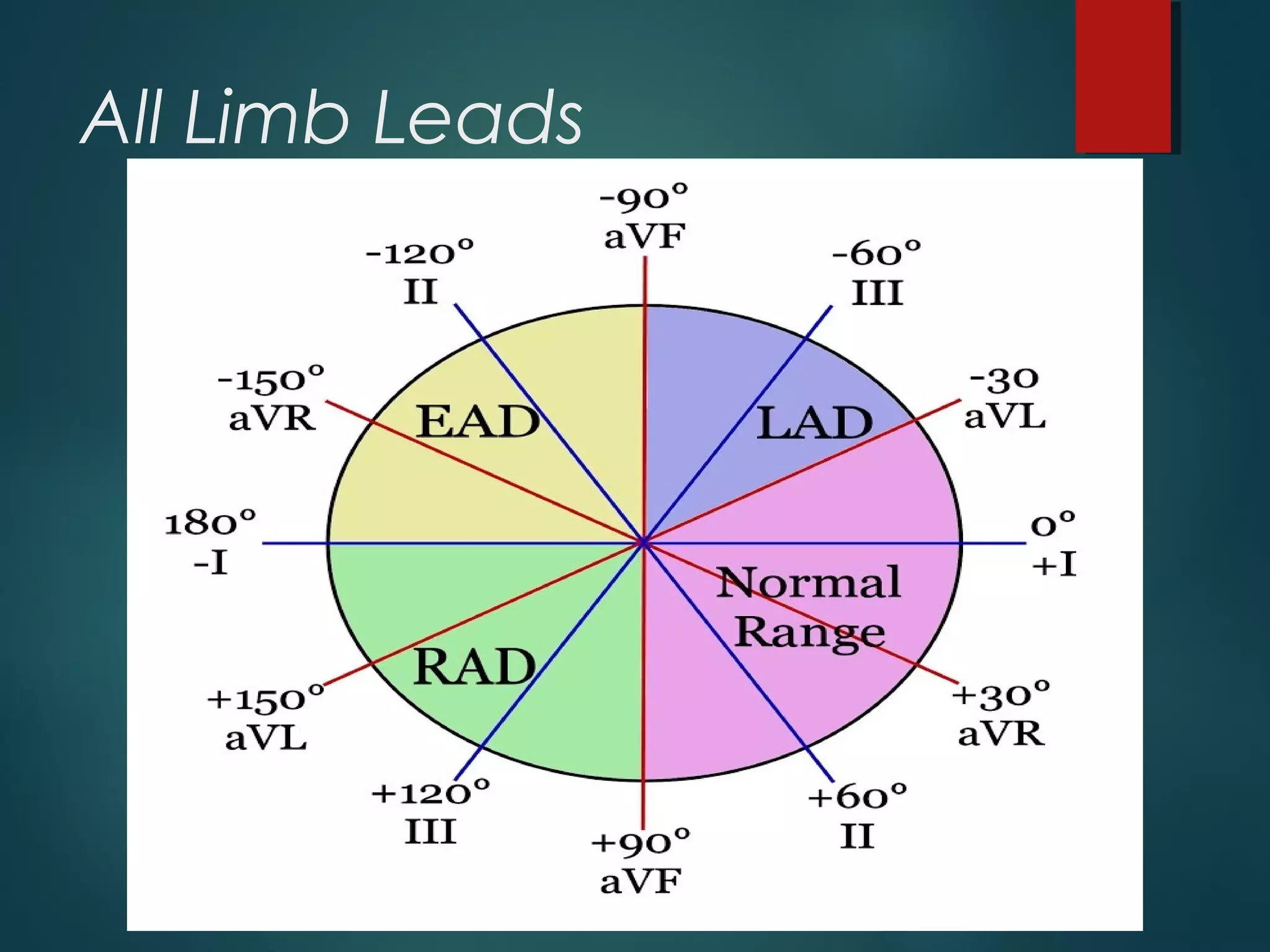 All Limb Leads
 