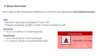 Comprehensive Basics of ECG: Understanding Heart's Electrical Activity ...