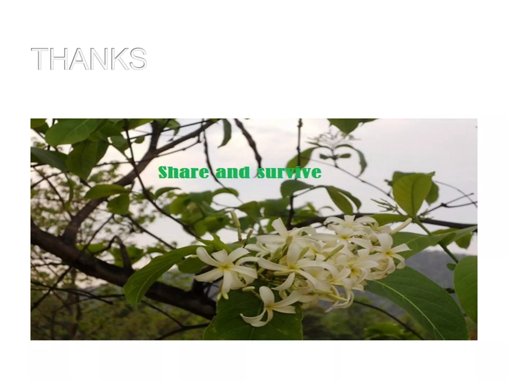 Basics of echocardiograghy