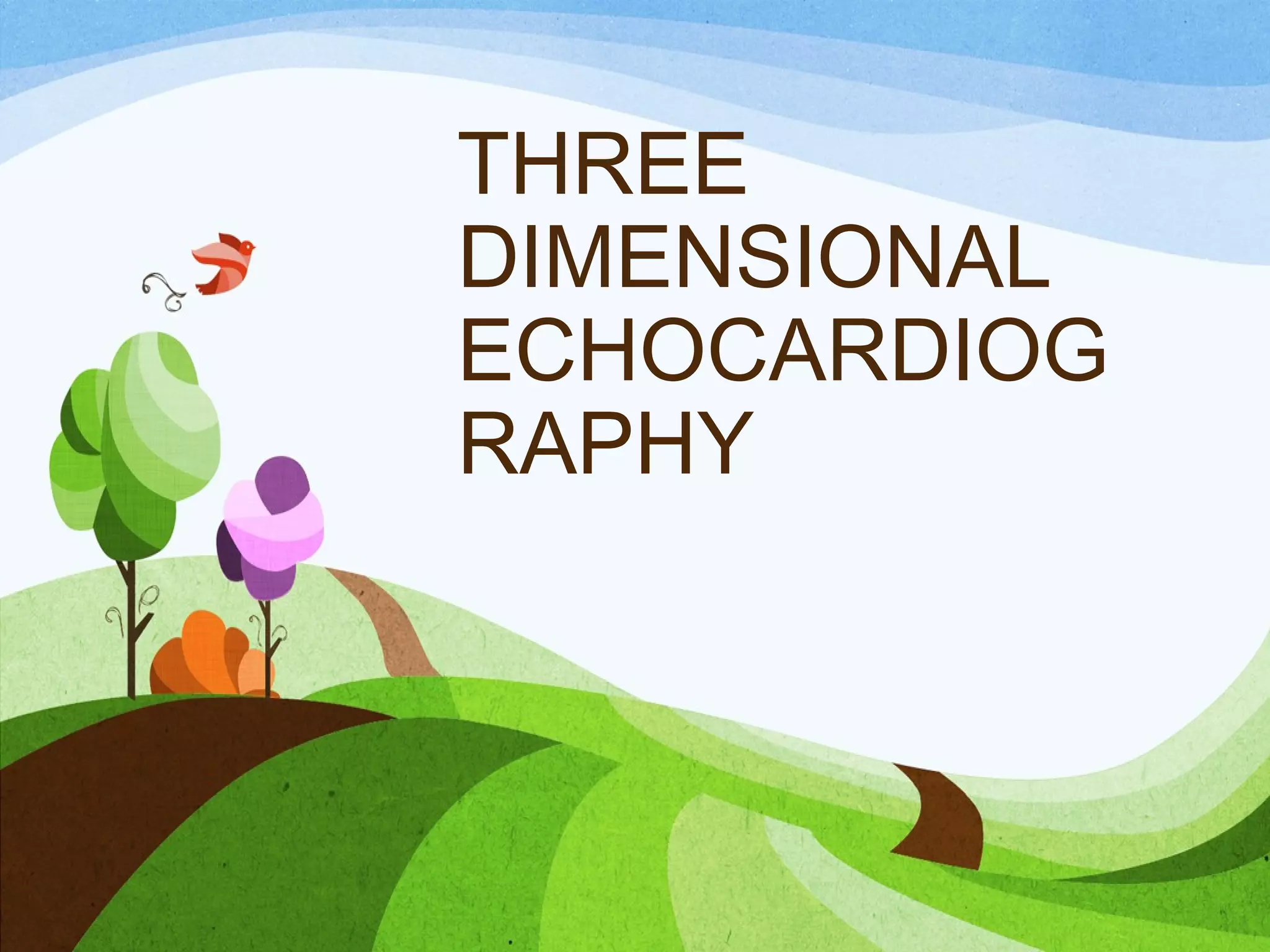 THREE
DIMENSIONAL
ECHOCARDIOG
RAPHY
 