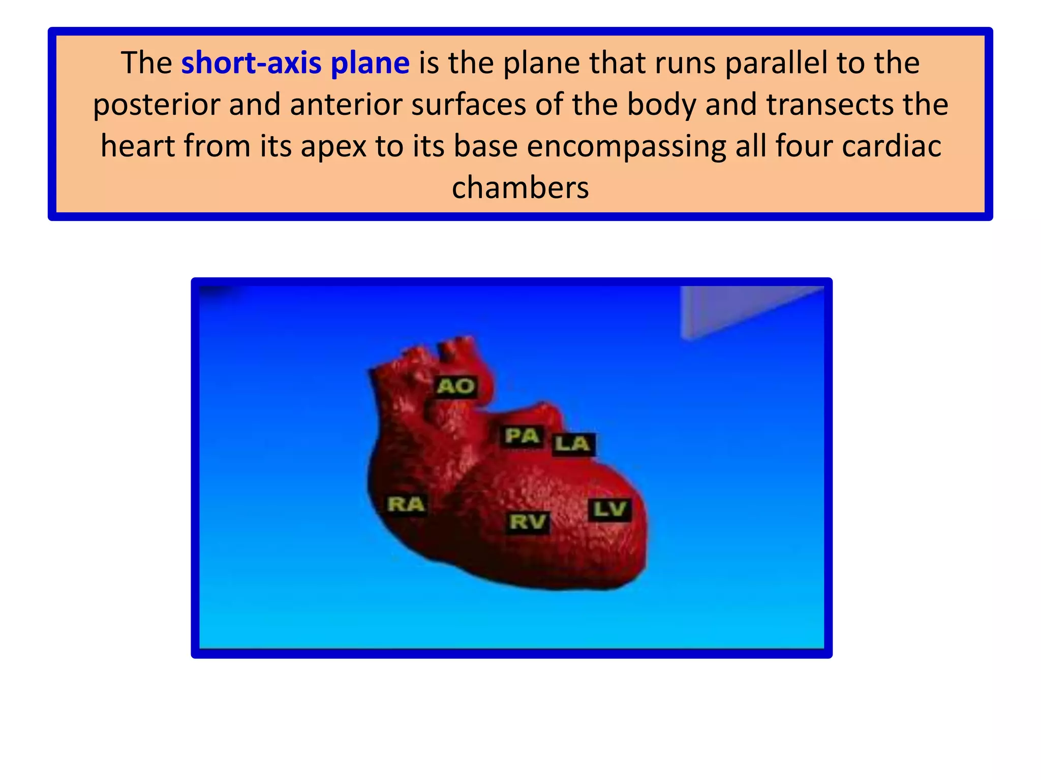 Low-frequency transducers permit good penetration but reduced image resolutionDEPTH:The deeper the field of the image, the slower the frame rate