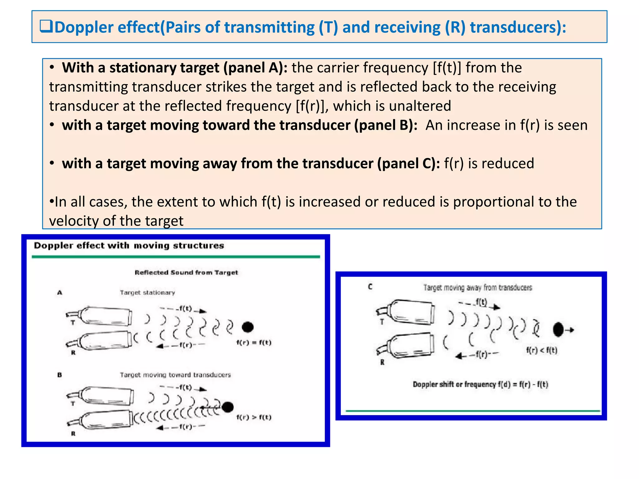 AORTIC VALVE AND LEFT ATRIUM
