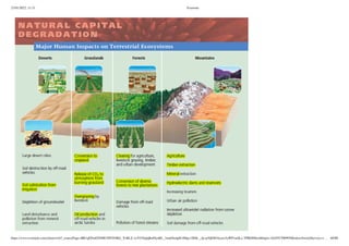Basics of Ecology and Environment - Manuj Jindal IAS.pdf