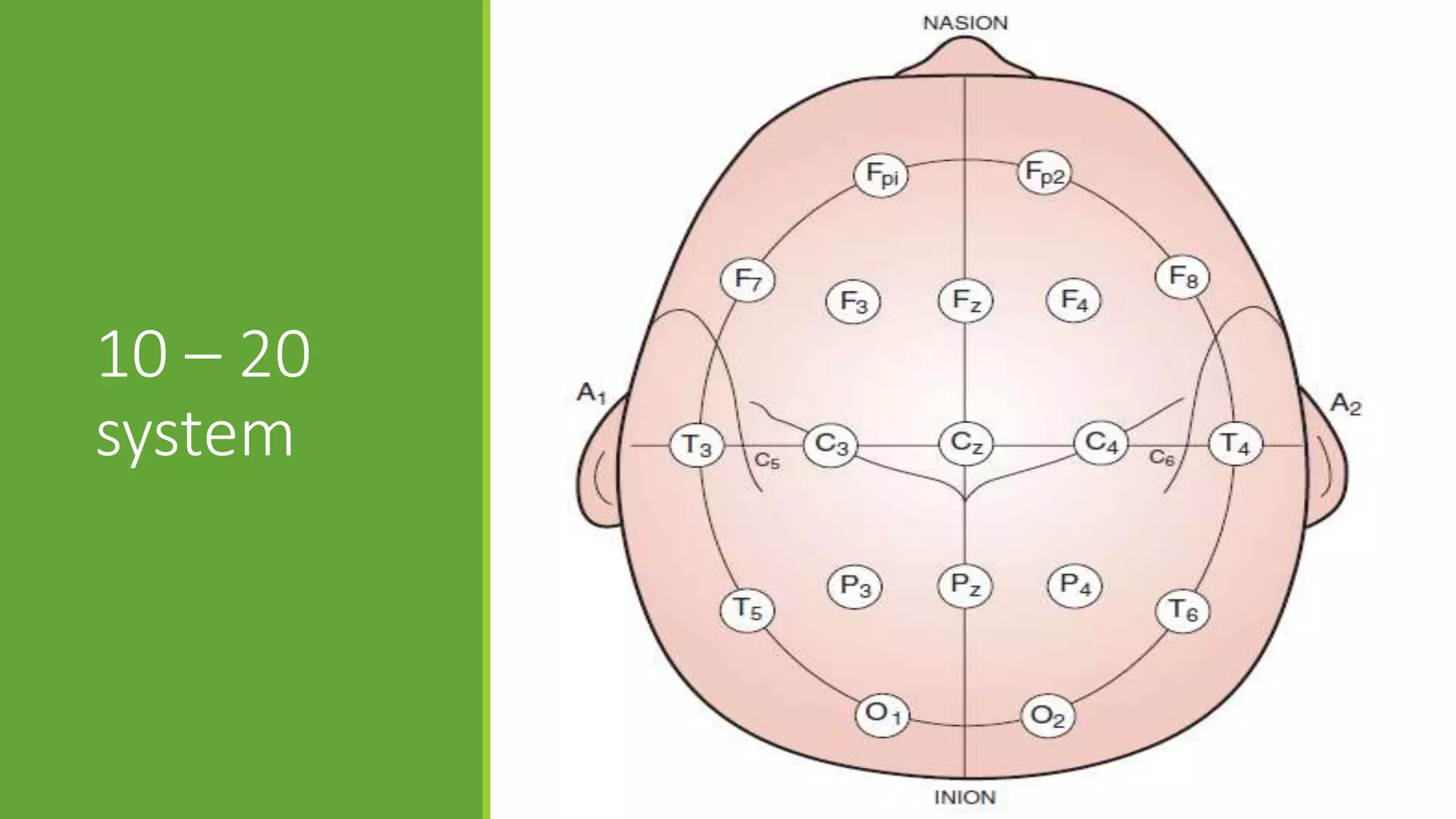 Basics of electroencephalography | PPTX