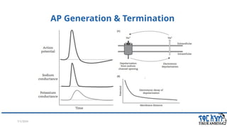 introduction and Basics of EEG- wubsew.pptx