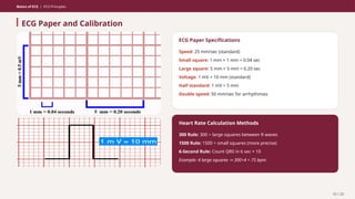 Basics of ECG | PPTX