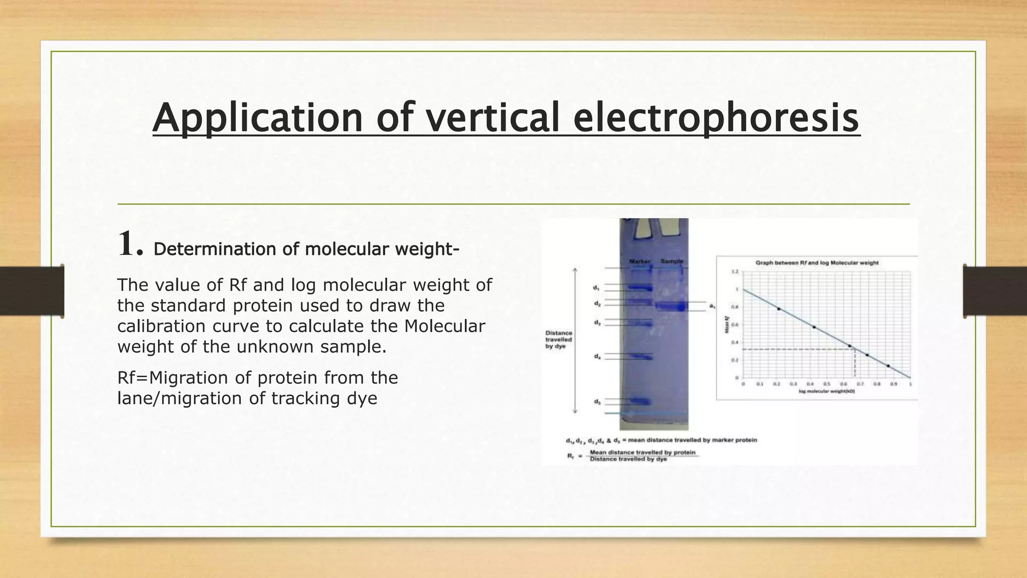 Application of vertical electrophoresis
1. Determination of molecular weight-
The value of Rf and log molecular weight of
the standard protein used to draw the
calibration curve to calculate the Molecular
weight of the unknown sample.
Rf=Migration of protein from the
lane/migration of tracking dye
a
 