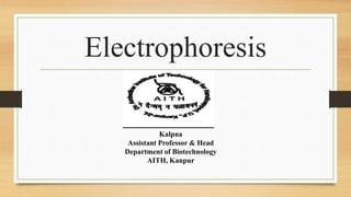 Electrophoresis
Kalpna
Assistant Professor & Head
Department of Biotechnology
AITH, Kanpur
 