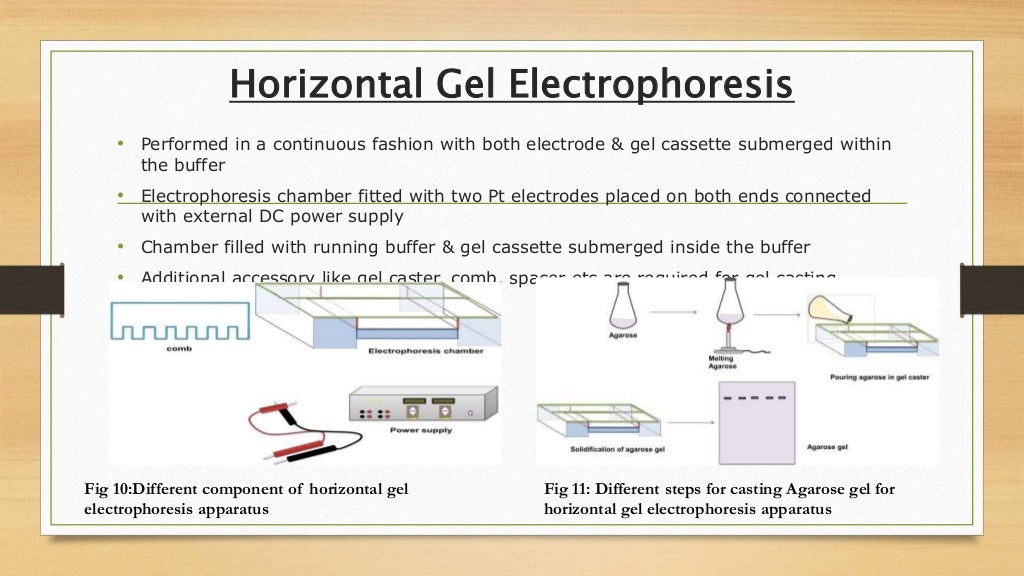 Basics of electrophoresis
