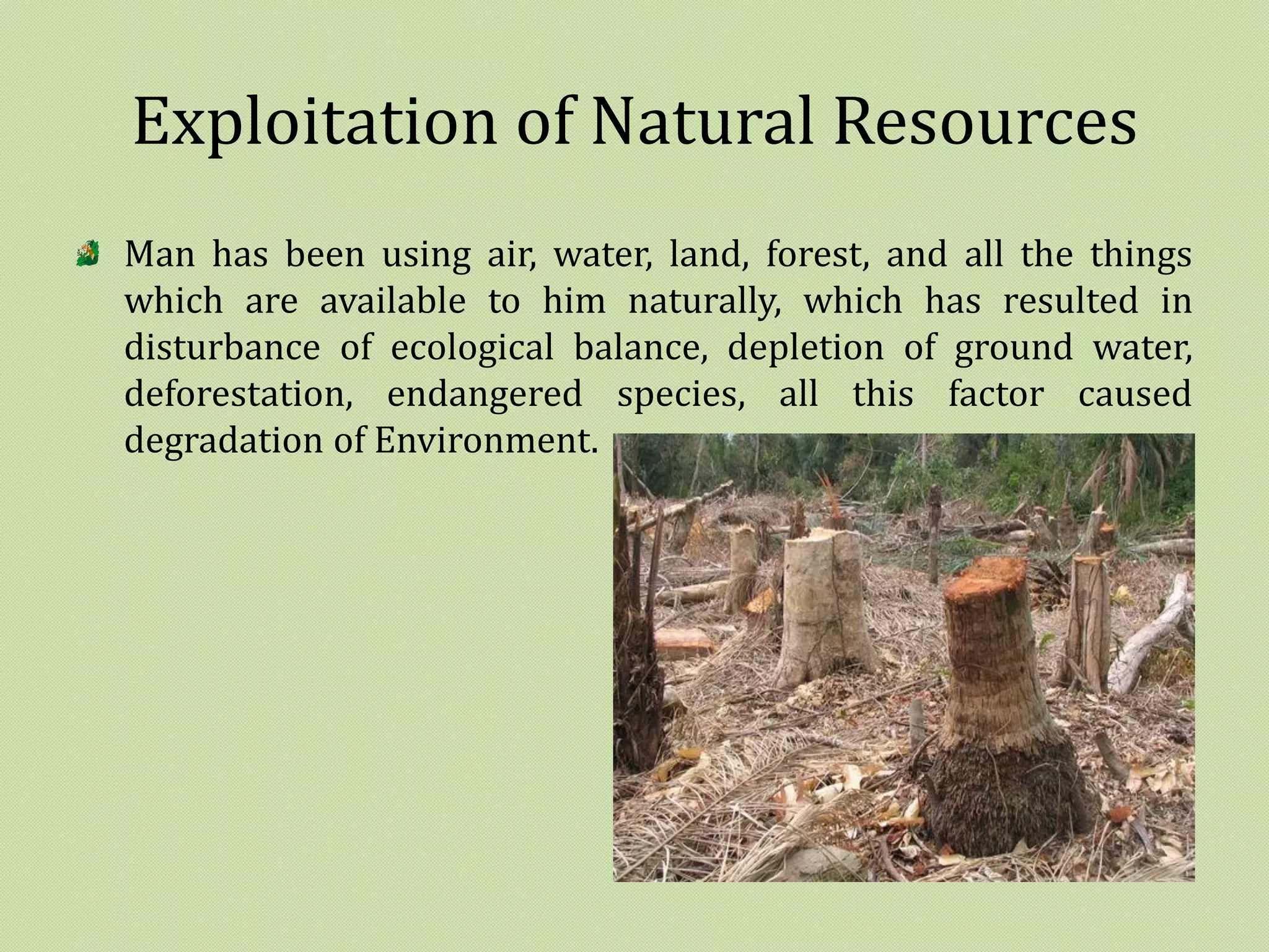 Basics of Environmental Studies | PDF