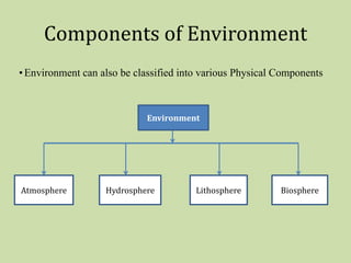 Basics of Environmental Studies | PDF