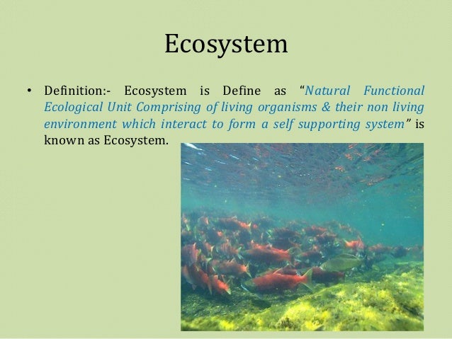 explain the word natural in natural Within the various uses of the word today, nature often which makes the methodological assumption that observable events in nature are explained only by natural. explain the word natural in natural Within the various uses of the word today, nature often which makes the methodological assumption that observable events in nature are explained only by natural.
