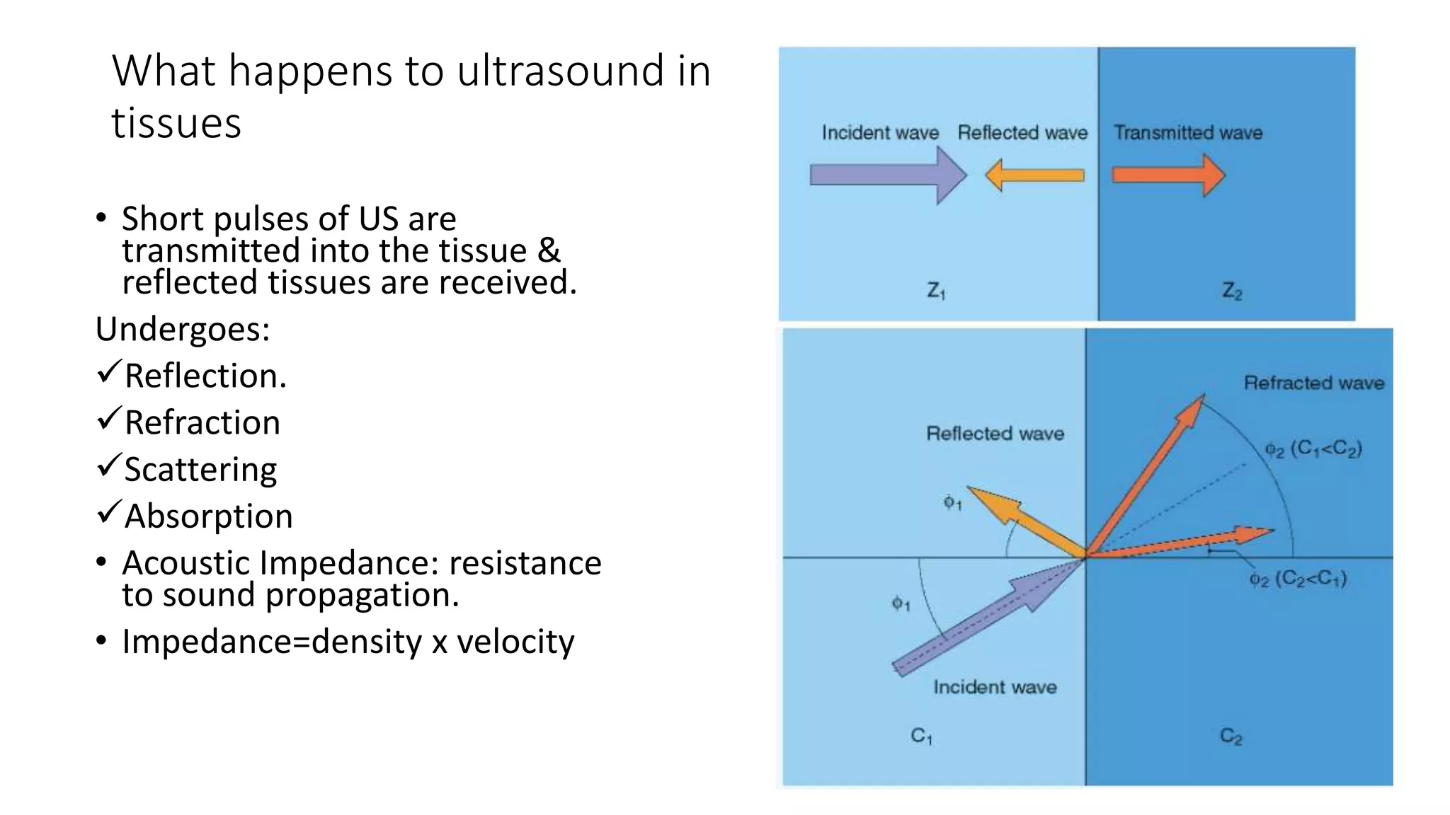 BASICS OF EUS PHYSICS.pptx