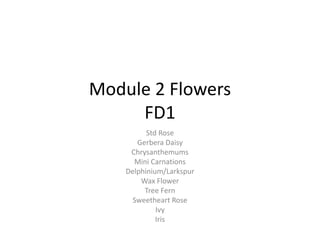 Module 2 FlowersFD1 Std Rose Gerbera Daisy Chrysanthemums Mini Carnations Delphinium/Larkspur Wax Flower Tree Fern Sweetheart Rose Ivy Iris 
