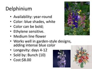 DelphiniumAvailability: year-roundColor: blue shades, whiteColor can be bold; Ethylene sensitive.Medium line flowerWorks well in garden-style designs, adding intense blue colorLongevity: days 4-12Sold by: Bunch (10)Cost:$8.00