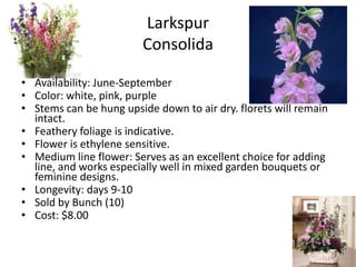 LarkspurConsolidaAvailability: June-SeptemberColor: white, pink, purpleStems can be hung upside down to air dry. florets will remain intact.Feathery foliage is indicative.Flower is ethylene sensitive.Medium line flower: Serves as an excellent choice for adding line, and works especially well in mixed garden bouquets or feminine designs.Longevity: days 9-10Sold by Bunch (10)Cost: $8.00