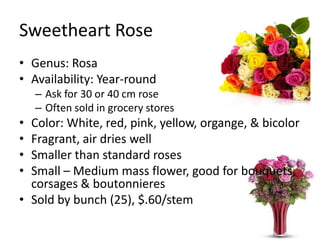 Sweetheart RoseGenus: RosaAvailability: Year-roundAsk for 30 or 40 cm roseOften sold in grocery storesColor: White, red, pink, yellow, organge, & bicolorFragrant, air dries wellSmaller than standard rosesSmall – Medium mass flower, good for bouquets, corsages & boutonnieresSold by bunch (25), $.60/stem