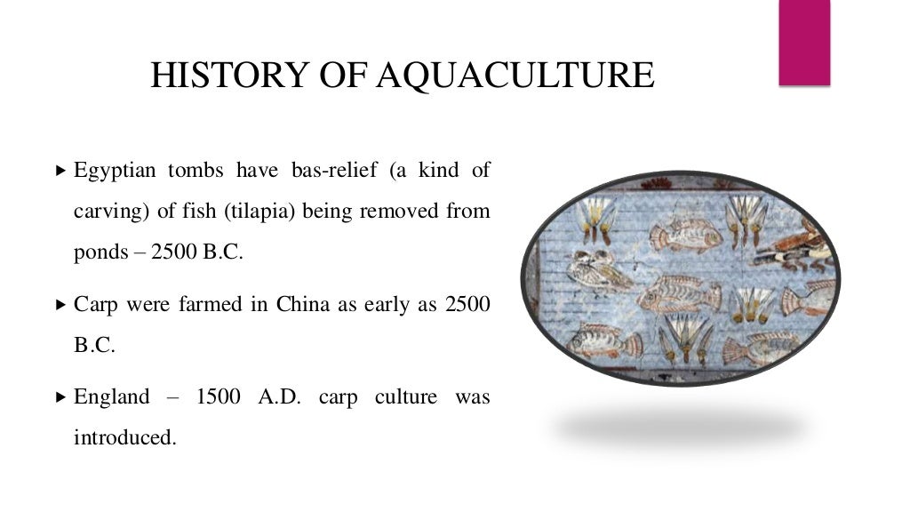 Basics Of Fisheries And Aquaculture