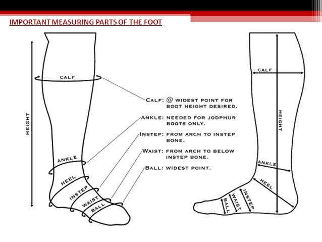 Basics Of Footwear by Aly 