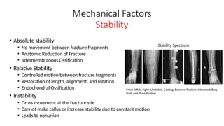Basics of fracture healing of bones.pptx