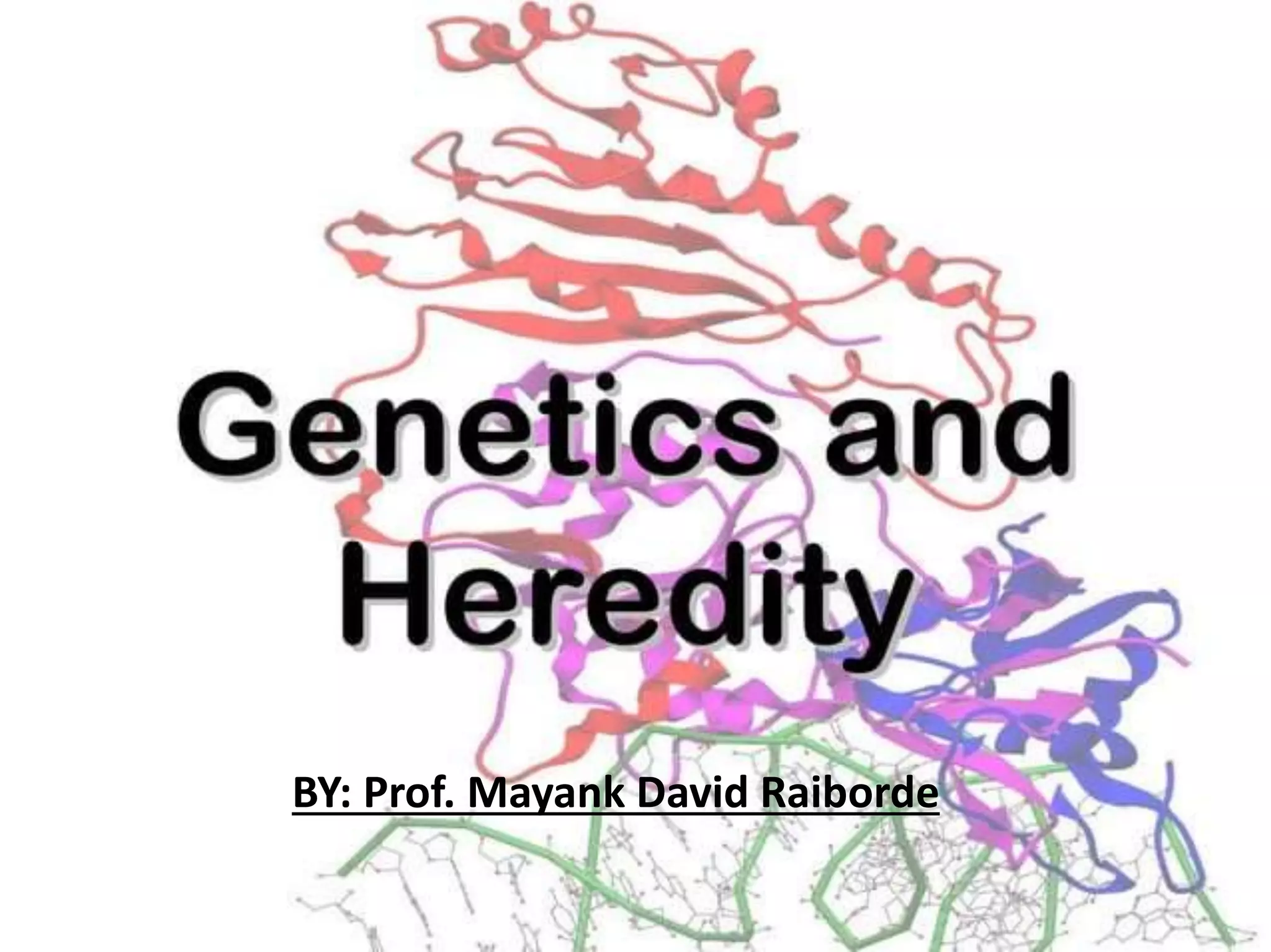 BY: Prof. Mayank David Raiborde