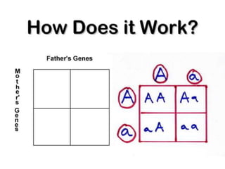 Basics of genetics.pptx
