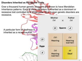 Basics of genetics.pptx