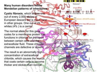 Basics of genetics.pptx