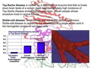 Basics of genetics.pptx