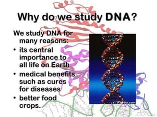 Basics of genetics.pptx