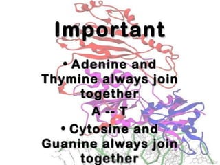 Basics of genetics.pptx