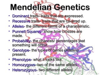Basics of genetics.pptx