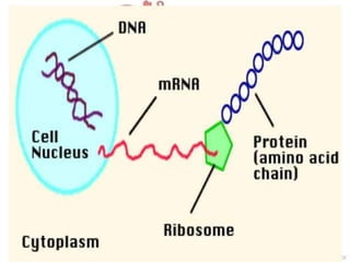 Basics of genetics.pptx