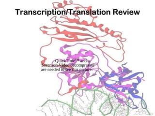 Basics of genetics.pptx