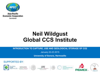 Neil Wildgust
Global CCS Institute
INTRODUCTION TO CAPTURE, USE AND GEOLOGICAL STORAGE OF CO2
January 22-23 2015
University of Sonora, Hermosillo
SUPPORTED BY:
 