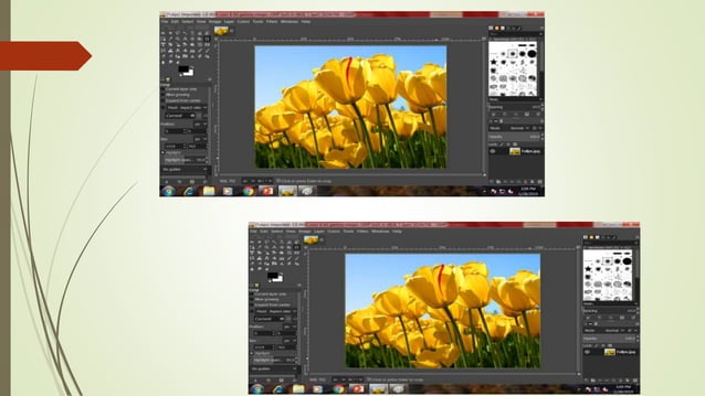 Basics of gimp | PPT