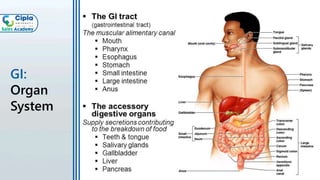 GI:
Organ
System
 