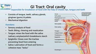 GI Tract: Oral cavity
• Consists of tongue, teeth, salivary glands,
gingivae (gums) & palate.
• Mechanical digestion
Functions:
• Sensory analysis of food
• Teeth: Biting, chewing and mastication
• Tongue: mixes the food with the saliva
(salivary amylase)which breakdowns starch
• Epiglottis: Closes over the trachea
preventing food from entering
• Saliva: Lubrication of food and forms a
cohesive mass “bolus”
responsible for breakdown of food with the help of cheeks, lips, tongue and teeth
•
 