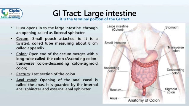 Basics of GI System