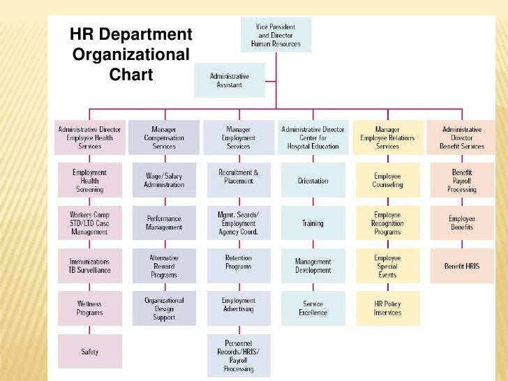 Human Resource Department Organizational Chart