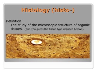 Basics of Immunohistochemistry | PPT