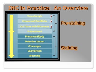 Basics of Immunohistochemistry | PPT