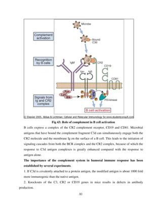 Basics of immunology | PDF