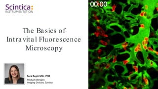 The Basics of
Intravital Fluorescence
Microscopy
Sara Rapic MSc, PhD
Product Manager,
Imaging Division, Scintica
 