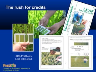 Ipr Color Increment Basics of Intellectual Property (IP) by Caezar AE Arceo | PPT