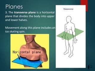 Basics of kinesiology by Dr. Bhanu Pratap | PDF