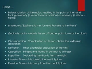 Basics of kinesiology by Dr. Bhanu Pratap | PDF