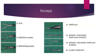 forceps
 